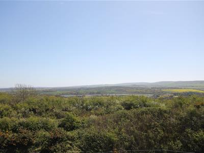 Picture 17